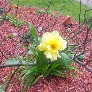 Meet your Posher, Becky